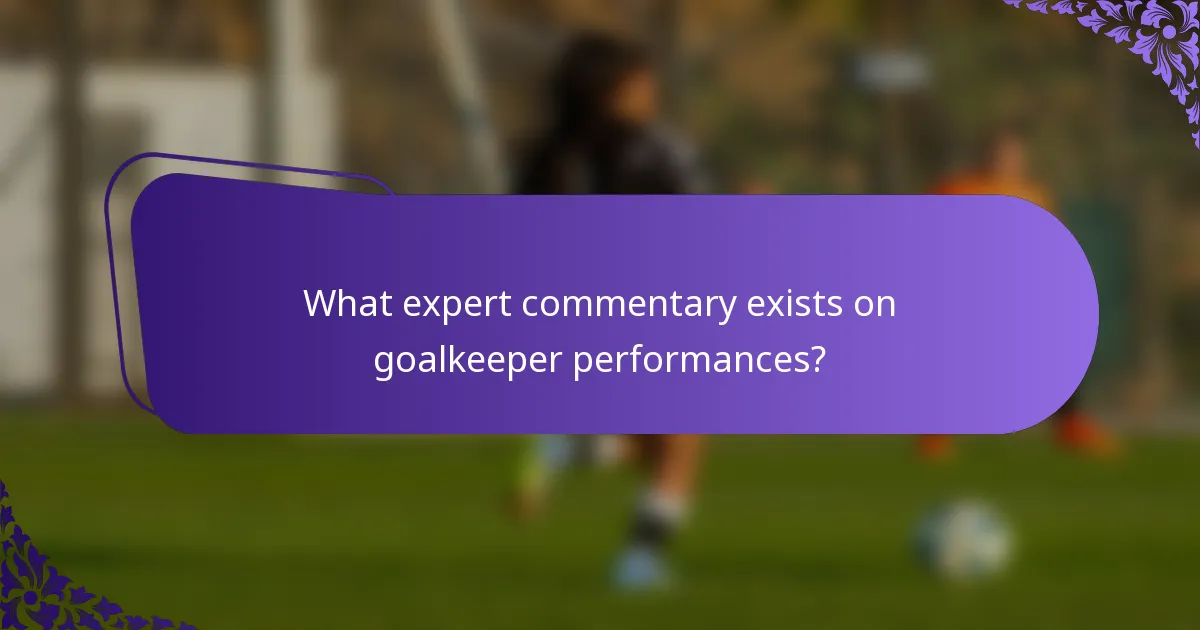 What expert commentary exists on goalkeeper performances?
